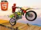 Lojë Bike Stunts në internet
