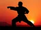 Lojë Karate Sunset Warriors në internet