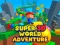 Lojë Super 3d World Adventure në internet