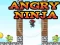Lojë Angry Ninja në internet