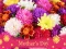 Lojë 2019 Mother's Day Puzzle në internet
