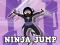 Lojë Ninja Jump në internet