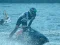 Lojë Power Boat Racing 3D në internet