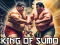 Lojë King Of Sumo the ultimate brawl në internet
