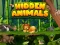 Lojë Hidden Animals në internet
