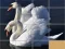 Lojë Animals Slide Puzzle në internet