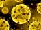 Lojë Coronavirus Slide në internet