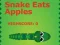 Lojë Snake Eats Apples në internet