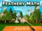 Lojë Feathery Math në internet