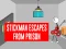 Lojë Stickman Escapes From Prison në internet