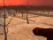Lojë Wasteland Shooters në internet