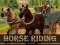 Lojë Horse Riding Simulator në internet