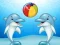 Lojë Dolphin Show në internet