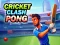 Lojë Cricket Clash Pong në internet