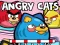 Lojë Angry Cats në internet