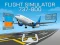 Lojë Flight Simulator 737-800 në internet