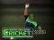 Lojë Cricket Fielder Challenge në internet