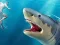 Lojë Shark Hunting në internet