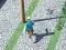 Lojë City Run 3D në internet