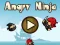 Lojë Angry Ninja në internet