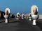 Lojë Hunt Skibidi Toilet në internet