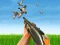 Lojë Bird Hunting në internet