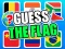 Lojë Guess The Flags në internet