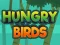 Lojë Hungry Birds në internet