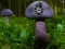 Lojë Mushroom Forest Adventure në internet