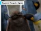 Lojë Emperor Penguin Jigsaw në internet