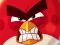 Lojë Angry Birds vs Pigs në internet