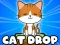 Lojë Cat Drop në internet