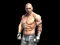 Lojë Fight Arena Online në internet