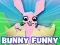 Lojë Bunny Funny në internet