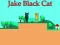 Lojë Jake Black Cat në internet