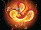 Lojë Chinese Dragons Coloring në internet