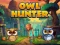 Lojë Owl Hunter në internet