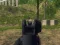 Lojë Army Shooter në internet