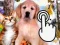 Lojë Pets Clicker në internet
