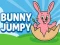 Lojë Bunny Jumpy në internet