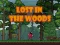 Lojë Lost in the Woods në internet