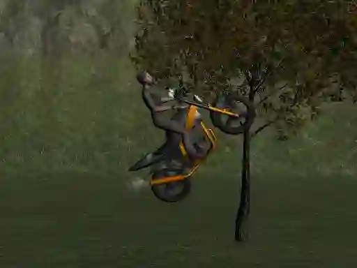 Lojë Mountain Bike Rider në internet