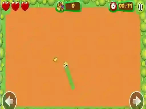 Lojë Fruit Snake në internet