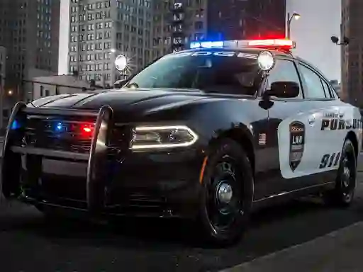 Lojë Police Cars Slide në internet