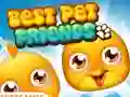 Lojë Best Pet Friends në internet