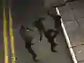 Lojë Zombie Reborn në internet