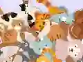Lojë Find The Kitty në internet