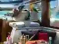 Lojë Caribbean Crime në internet