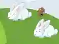 Lojë Crazy Eggs në internet