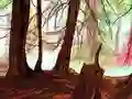 Lojë Hidden Stars në internet
